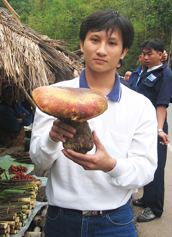 巨大きのこを手にするカンポン君