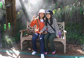 タイの人のお花畑における構図