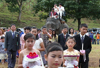 象に乗って入場するカップル