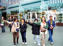 東京ﾃﾞｨｽﾞﾆｰﾗﾝﾄﾞ