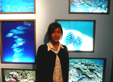 ｻﾝｼｬｲﾝ水族館改修前