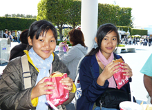 ﾊﾝﾊﾞｰｶﾞｰ昼食ﾅﾙﾓﾝ・ﾒｰ